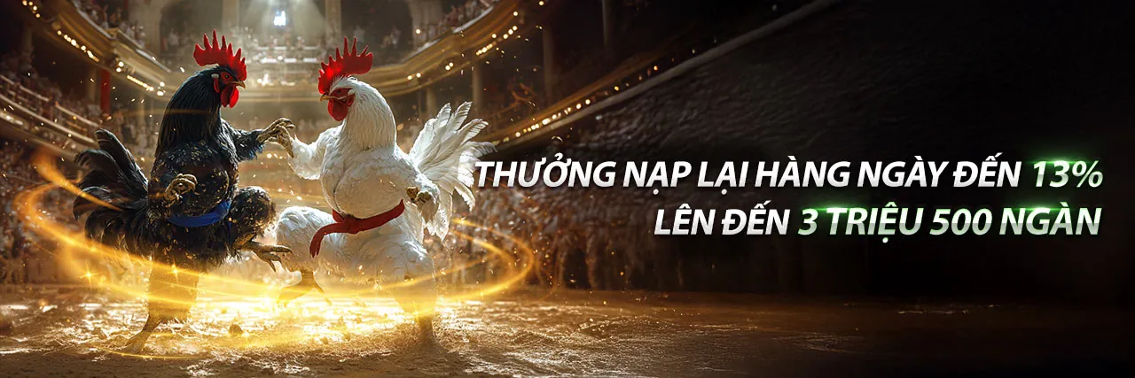 Đá Gà Trực Tiếp Ga.Vin - Trải nghiệm cá cược đá gà đỉnh cao